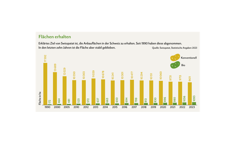 Zahlen rund ums Kartoffeljahr 2024