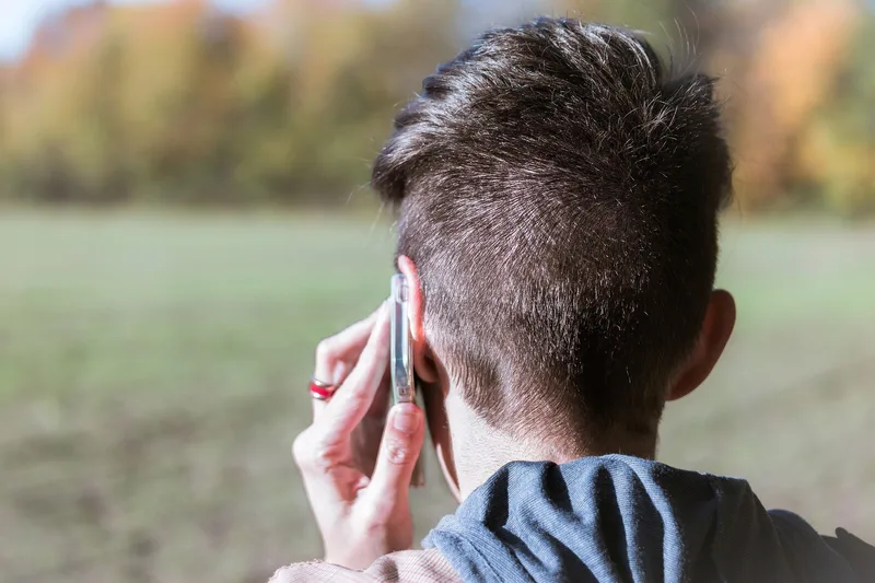 Sind Mobilfunk-Strahlung und 5G eine Gefahr für Insekten?