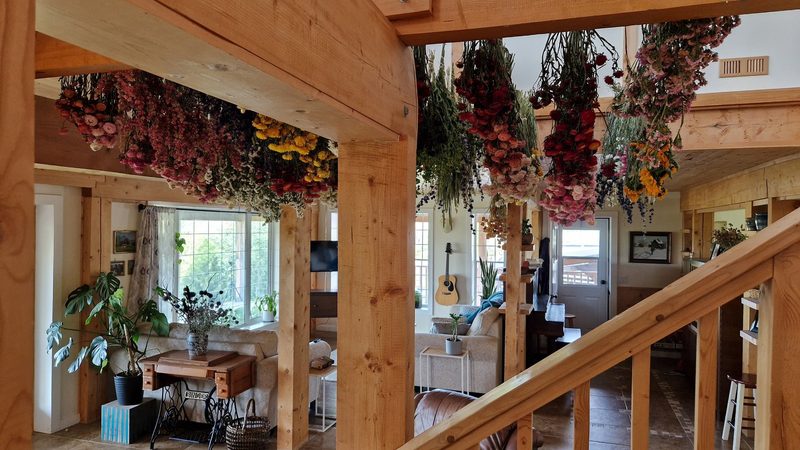 Silvia Liebke baut im kurzen kanadischen Sommer Blumen an
