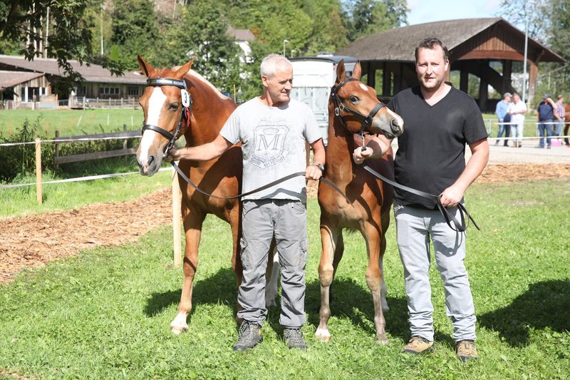 Mitten im Dorf und mit viel Charme: In Eggiwil standen 47 Fohlen im Fokus