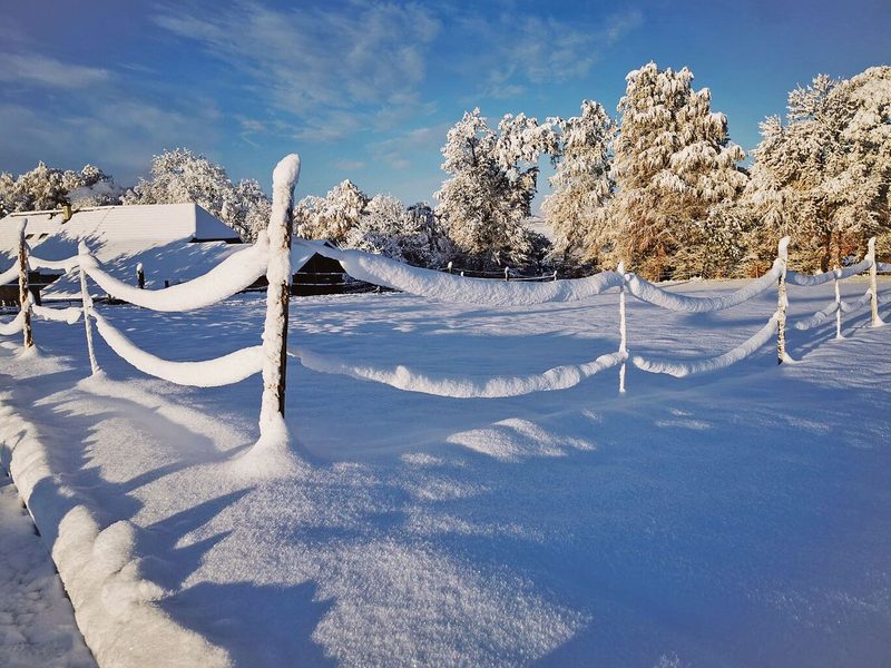 Auf dem Belpberg nahe Bern zaubern Schnee und Sonnenlicht eine wunderschöne Winterstimmung.