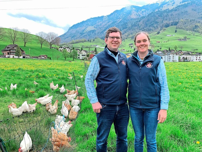 Roland und Christa Scheuber halten Bio-Legehennen und sind begeisterte OB-Züchter.