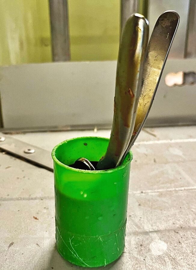 In einem grünen Plastikbecher ist der Emaskulator gelagert.