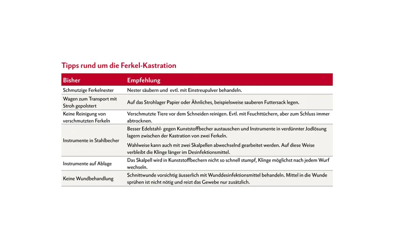 Tipps rund um die Ferkel-Kastration