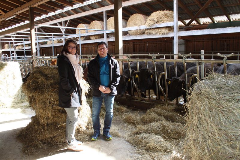 Familie Fuchs hält Wagyu-Rinder: «Es brauchte Abenteuerlust»