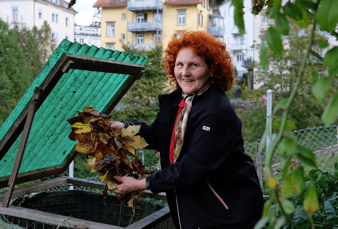Blätter: vom Baum ins Beet