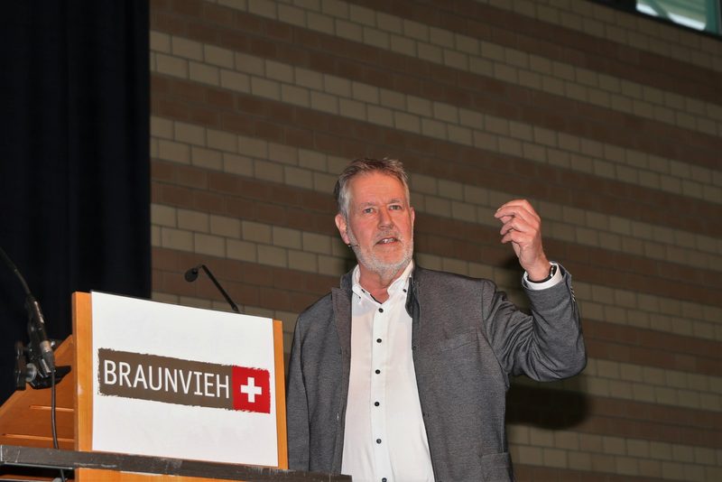 Kein Weg führt an der Kuh vorbei