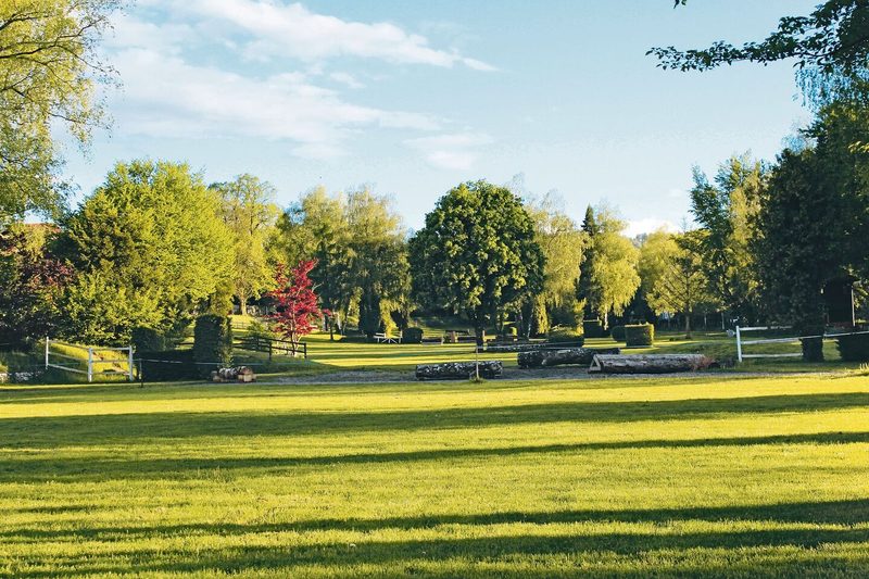 Der geschichtlich wertvolle Springgarten im NPZ weist einen hohen Biodiversitätswert aus. Hier sollen schon bald Bauten entstehen, die Fläche ist eingezont.