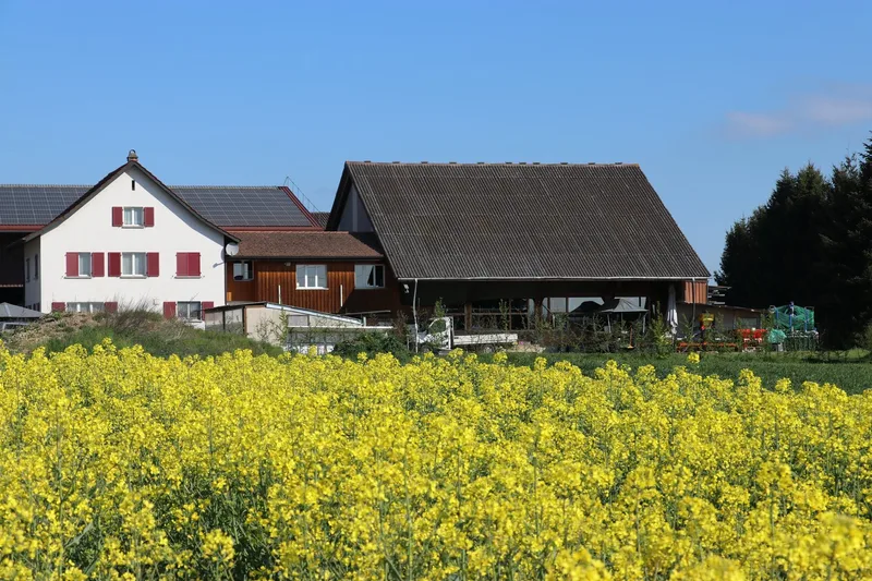 «Ruhig sitzen ist nichts für mich», sagt Landwirtin und Lohnunternehmerin Melanie Strebel