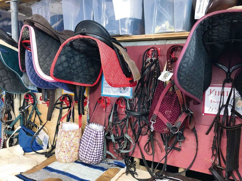 Viel handwerkliche Eigenleistung, wie diese Garderobe für das Zaumzeug, erbringt Michael Müller auf dem Ponyhof.