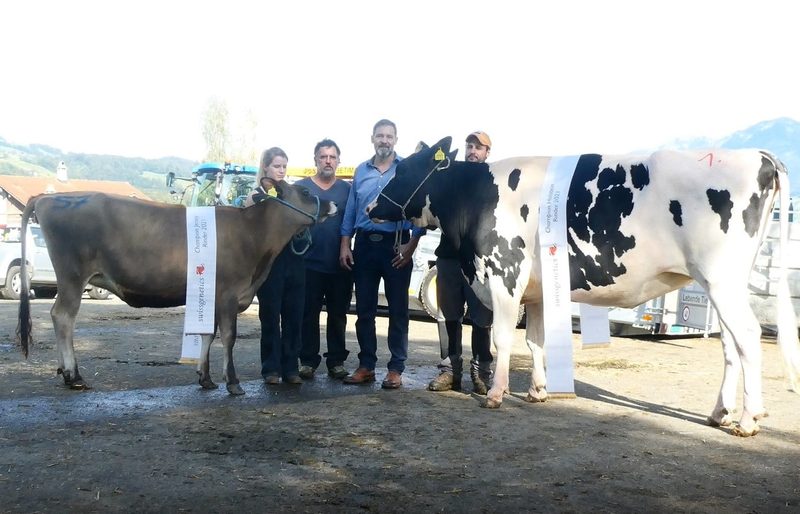 Das sind die Holstein- und Jersey-Champions aus Ob- und Nidwalden