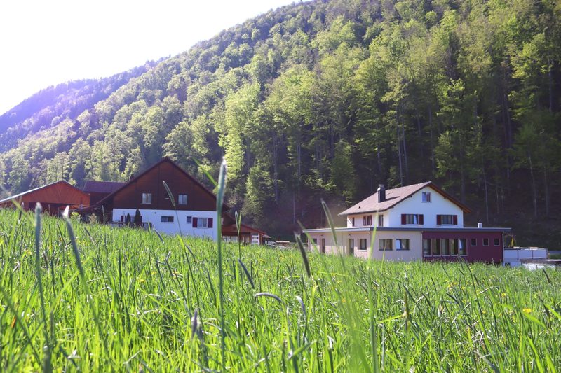 «Von der Weide bis auf den Teller» ist das Motto auf dem Betrieb Guldenthal.