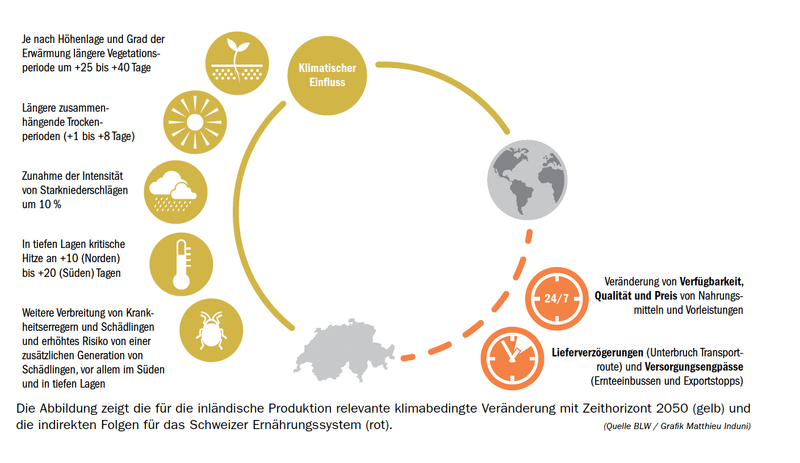Landwirtschaftliche Klimaprojekte: Das läuft aktuell in der Schweiz