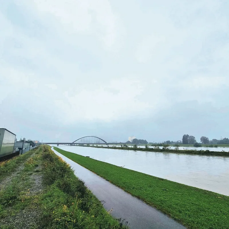 Im St. Galler Rheintal führte der Rhein viel Wasser, stellenweise trat der Fluss gar über die Ufer ins Rheinvorland. Wie verschiedene lokale Medien berichten, hatte man die Situation aber stets unter Kontrolle.
