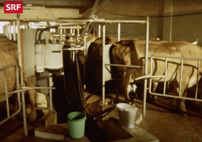 Videotipp: 1975 fürchtete man ein mögliches Ende der Alpwirtschaft