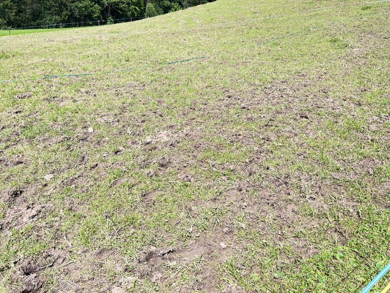 Unstabiles Wetter erschwert die Futterernte