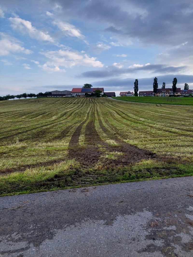Unstabiles Wetter erschwert die Futterernte