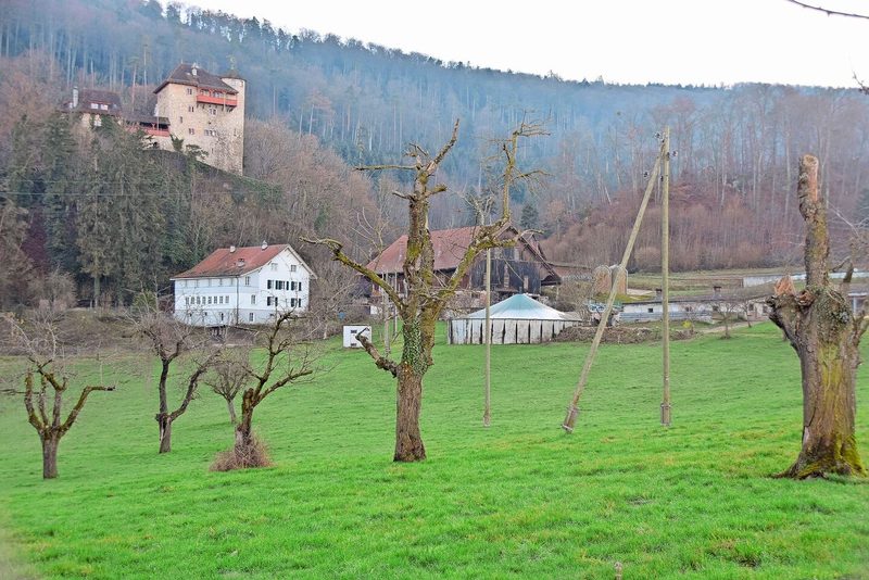 Der Betrieb von Robert Dreier liegt in Mariastein. Ackerbau, Schweinemast und Milchproduktion sind die Hauptbetriebszweige.