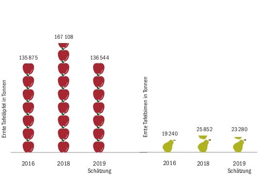 Die gesamte hängende Apfelernte 2019 wird auf 136?544 Tonnen geschätzt. Die gesamte hängende Birnenernte wird auf 30?460 t geschätzt. Für 2017 gibt es frostbedingt keine Zahlen.(SOV)