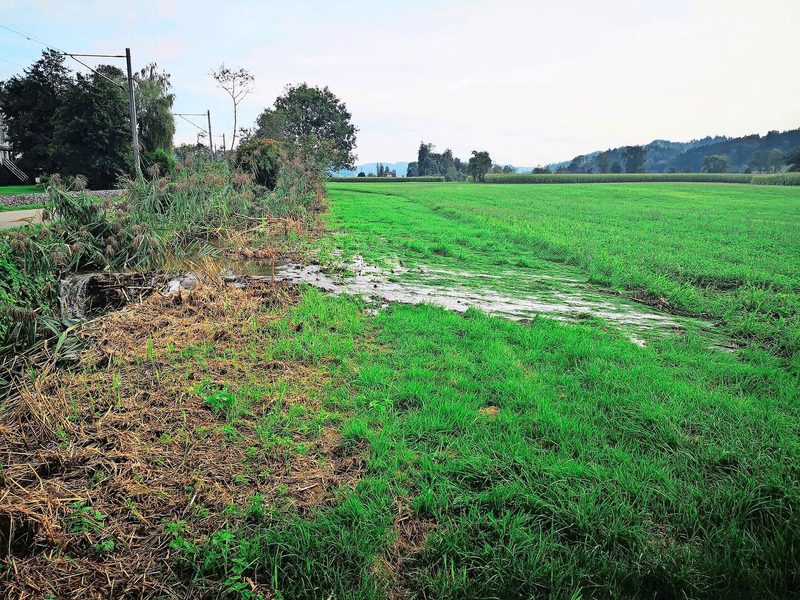 Die Kehrseite des Bauwerks sind überflutete Uferbereiche. Sowohl Land-wirtschaftsflächen als auch Wohngebiete kann es treffen.