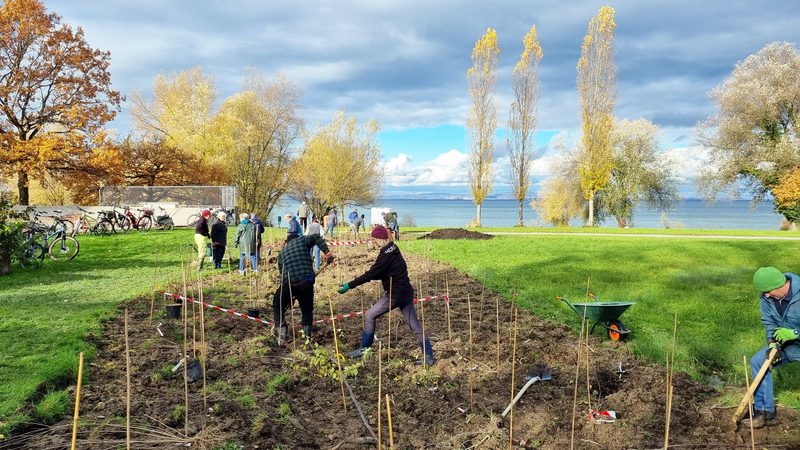 Birdlife Schweiz realisiert 150 Naturschutzprojekte