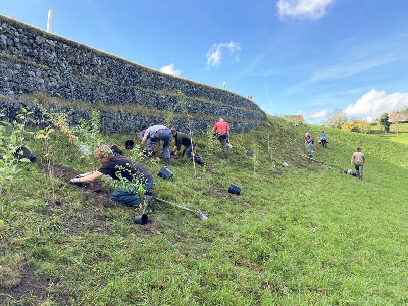 Birdlife Schweiz realisiert 150 Naturschutzprojekte