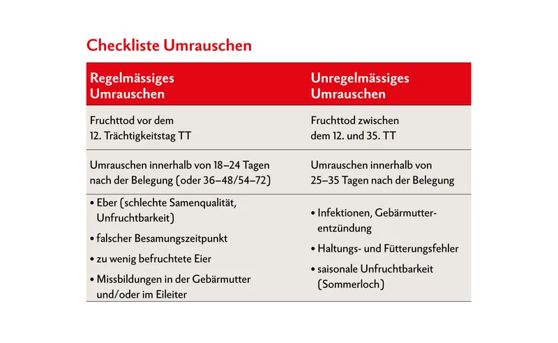 Die Ursachen für regelmässiges und unregelmässiges Umrauschen sind unterschiedlich.