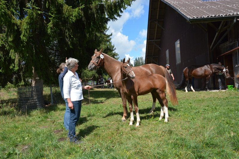 Luna wird in Heimenschwand zur Miss Bern gekürt