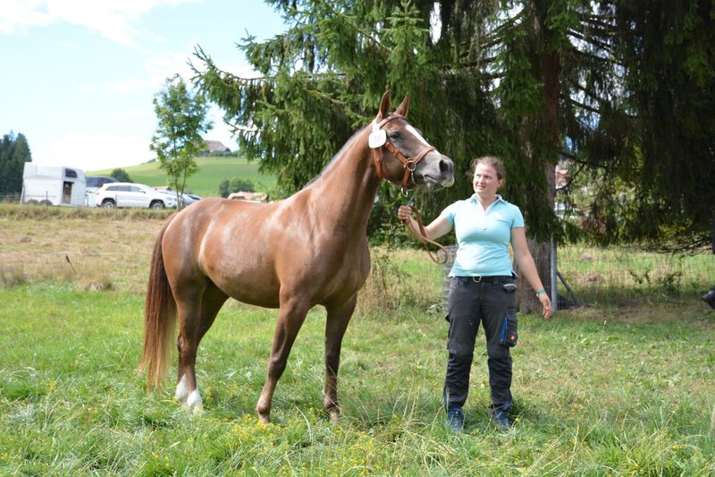Luna wird in Heimenschwand zur Miss Bern gekürt
