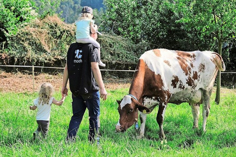 Betriebsleiter, Vater, Vorstandsmitglied und Delegierter: Markus Ritter bringt alles unter einen Hut.