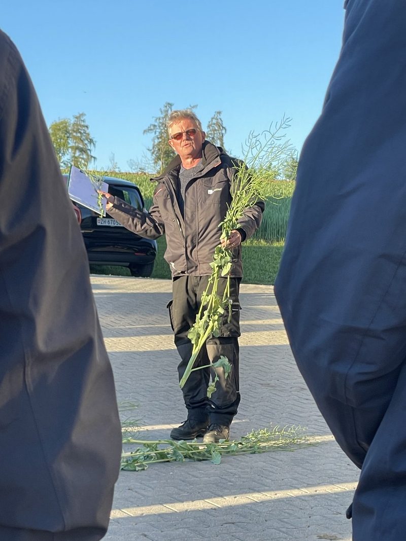 Vom Kompost bis zum Weizen: Ackerbau zwischen Klima, Schädlingen und Nährstoffen