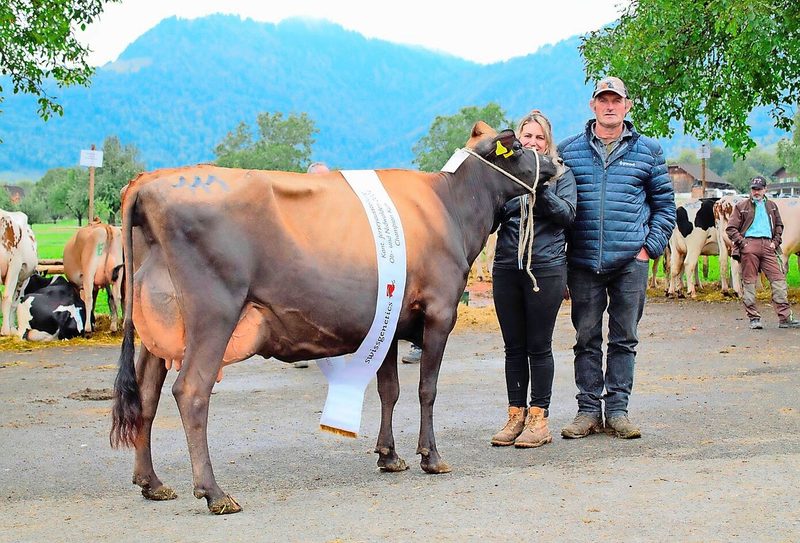 Jane von Jasmin und Christof Küchler, Kägiswil, war die schönste Jersey-Kuh in Giswil.