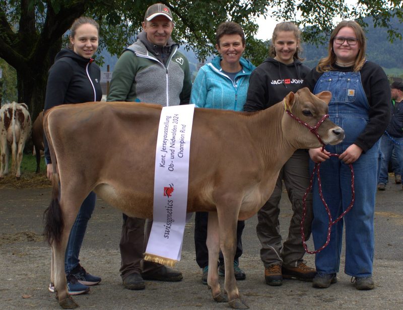 Die schönsten Jersey und Holstein aus Unterwalden
