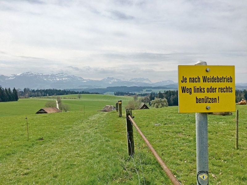 Bei Wegen durch Weiden ist Vorsicht geboten. Hunde sind an der Leine zu führen, ausser bei Angriffen von Rindvieh.