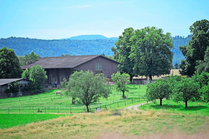Der idyllisch gelegene, gepachtete Hof auf dem Lohnberg in der Gemeinde Zuzgen. Der kleine Weiler mit Blick in den Südschwarzwald ist von Landwirtschaft dominiert.