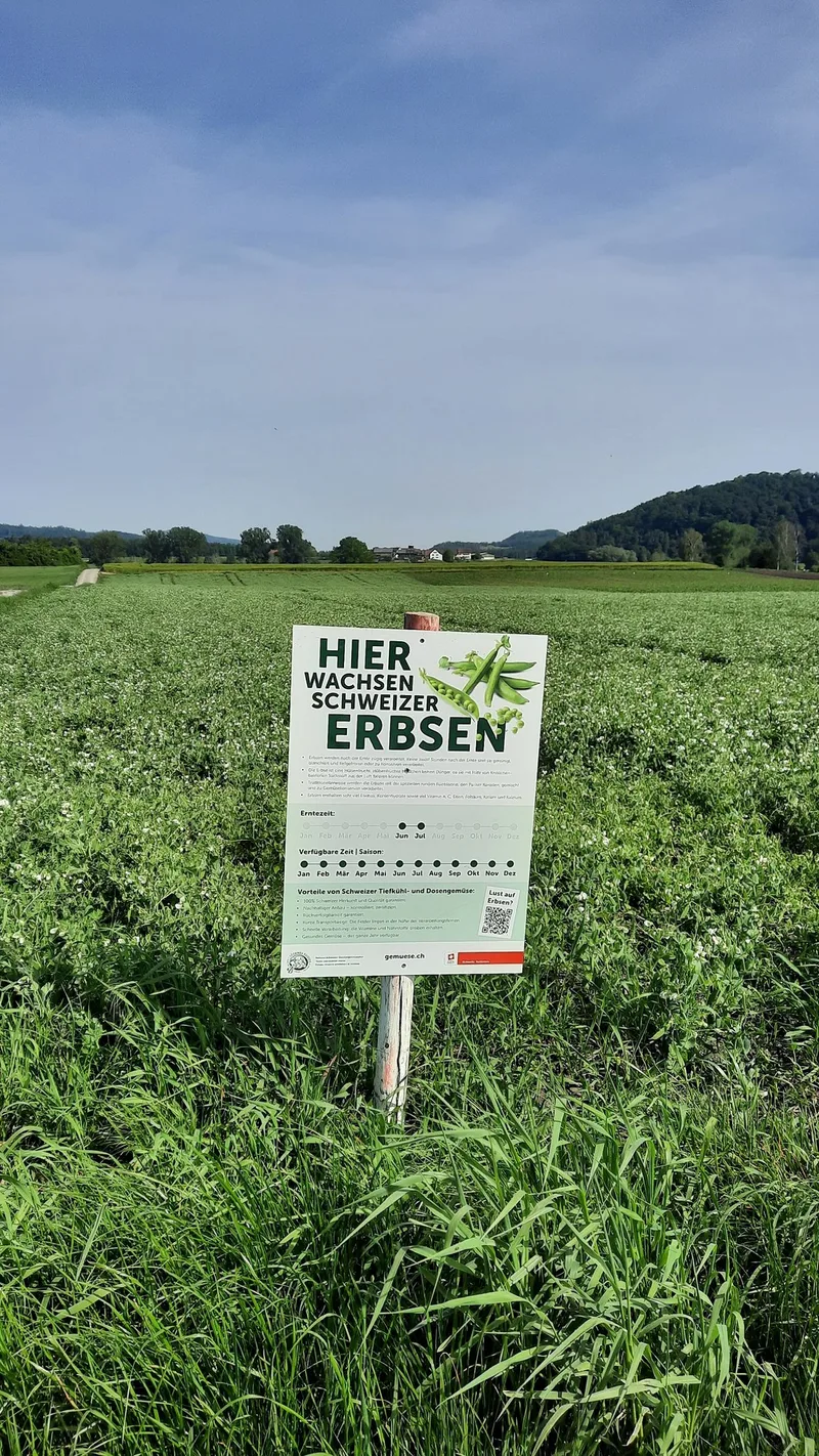 Es werden Erbsenproduzenten gesucht