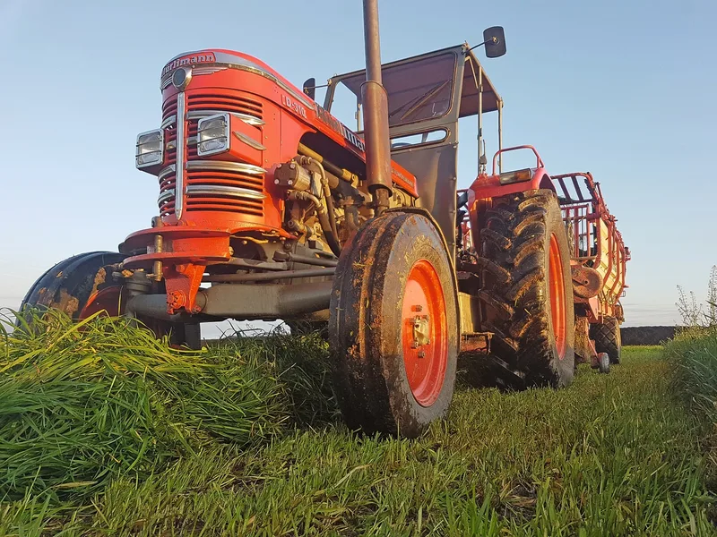 Weiden oder silieren? Auch Eingrasen ist eine hervorragende Alternative, um Herbstgras sinnvoll zu nutzen. Vor allem auch für Neuansaaten, die man nicht beweiden kann. Bild: Beat Schmid