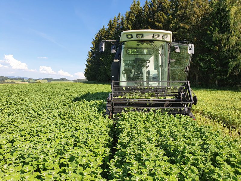 Innovation der Woche: Hightech-Ernter der Marke Eigenbau