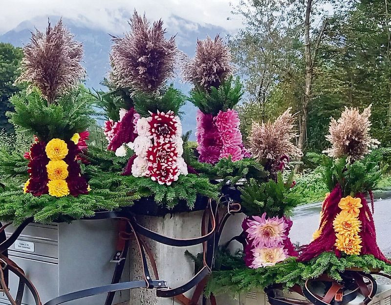 Temporäre Kunstwerke für die Alp-Abfahrt: Der aufwendige Blumenschmuck für die Köpfe der Kühe wird allesamt mit echten Blumen angefertigt.