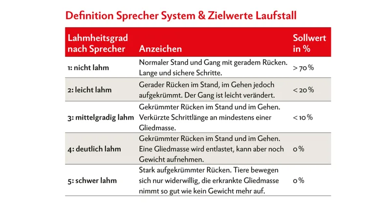 Die Schwere der Lahmheit hat einen entscheidenden Einfluss auf die Auswirkungen und Folgen und muss deshalb genau definiert werden. Grafik: Nicole Geiser