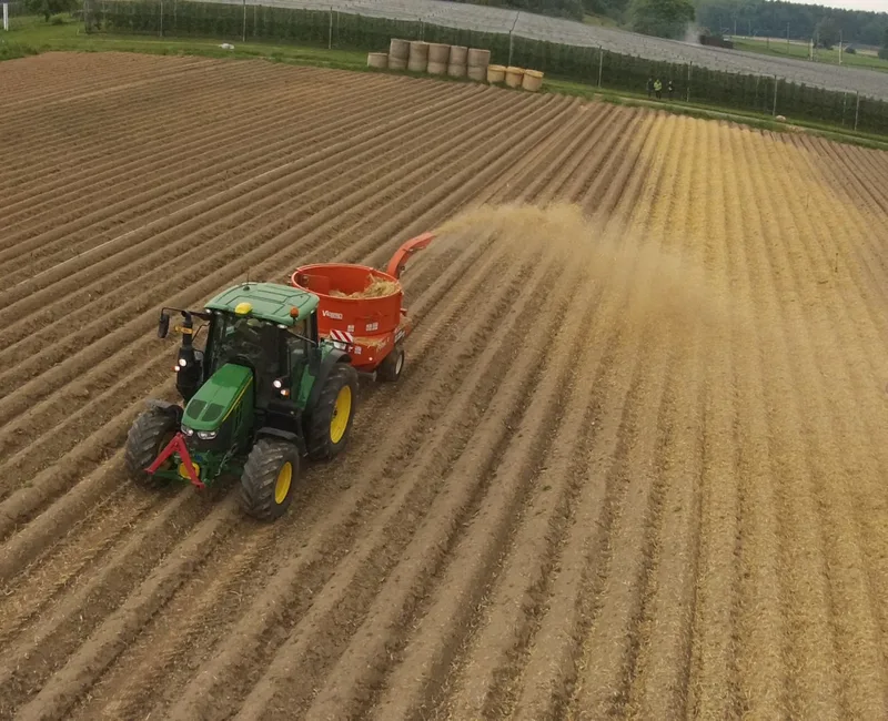 Ökoheu auf den Kartoffeldämmen, um langfristig den Ertrag zu sichern