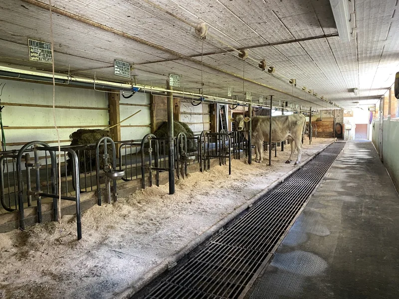 Auf dem Haselhof leben die Tiere bis zum letzten Tag stressfrei