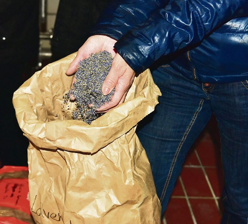 Im Appenzeller Alpenbitter hat es unter anderem Lavendel aus dem Appenzell drin.