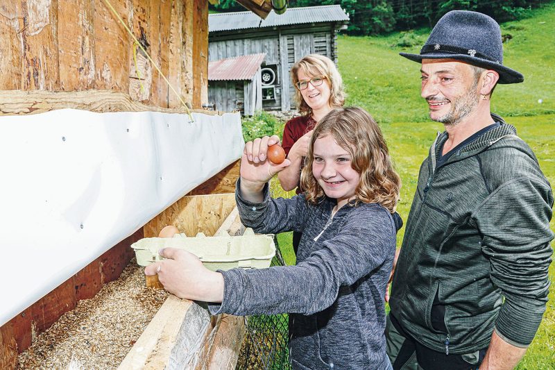 Svenja nimmt Eier aus: Die 60 bis 70 Legehennen leben im mobilen Stall. (Bild Erika Rebsamen)