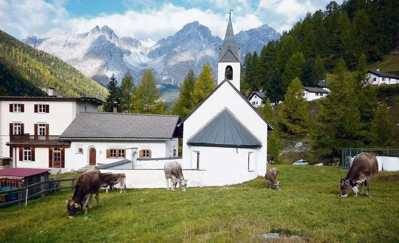 Weide in S-charl vor der Kapelle aus dem 12. Jahrhundert auf 1810 m ü. M.