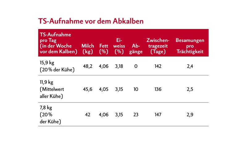Die Tabelle zeigt die Aufnahmemengen von Trockensubstanz von Milchkühen vor der Abkalbung.