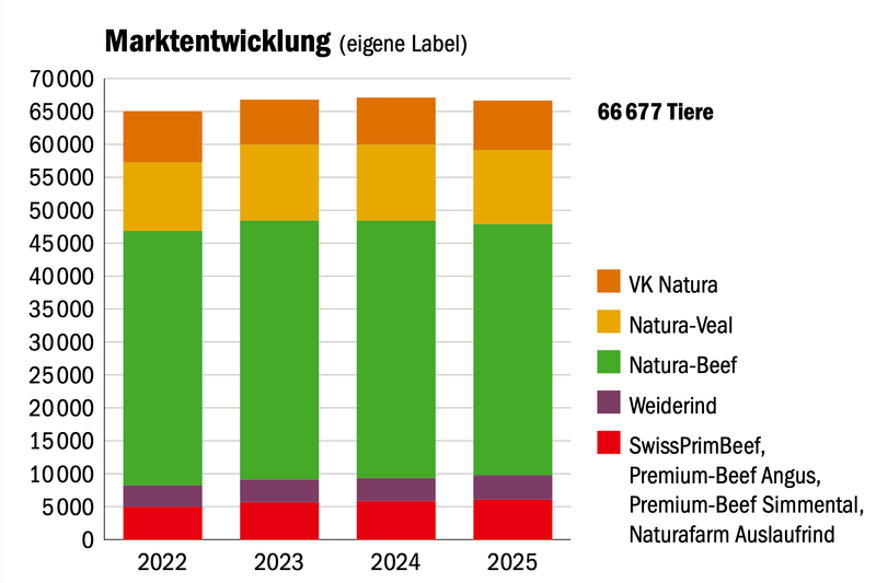 Mutterkuh Schweiz: «Für das Label Natura-Veal suchen wir krampfhaft noch weitere Produzenten»
