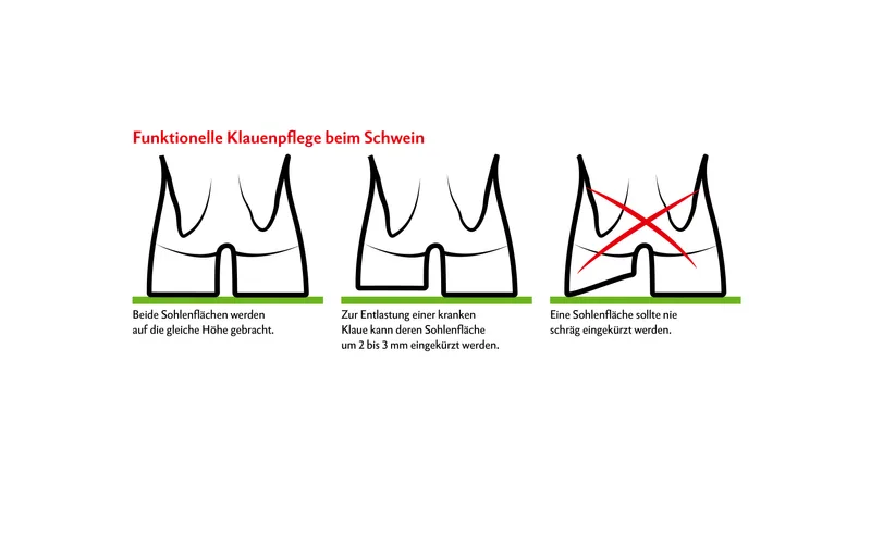 Grafik: Nicole Geiser, Quelle: Franz Wolf, HBLFA Raumberg-Gumpenstein