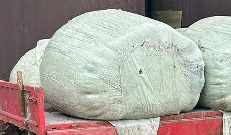 «Nasse Silage kann zu statischen Problemen im Hochsilo führen»