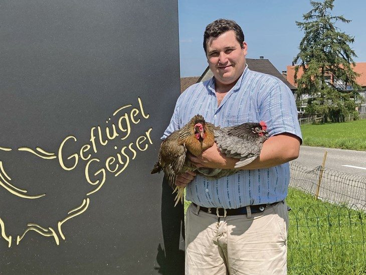 Vom Brutei bis zur Legehenne